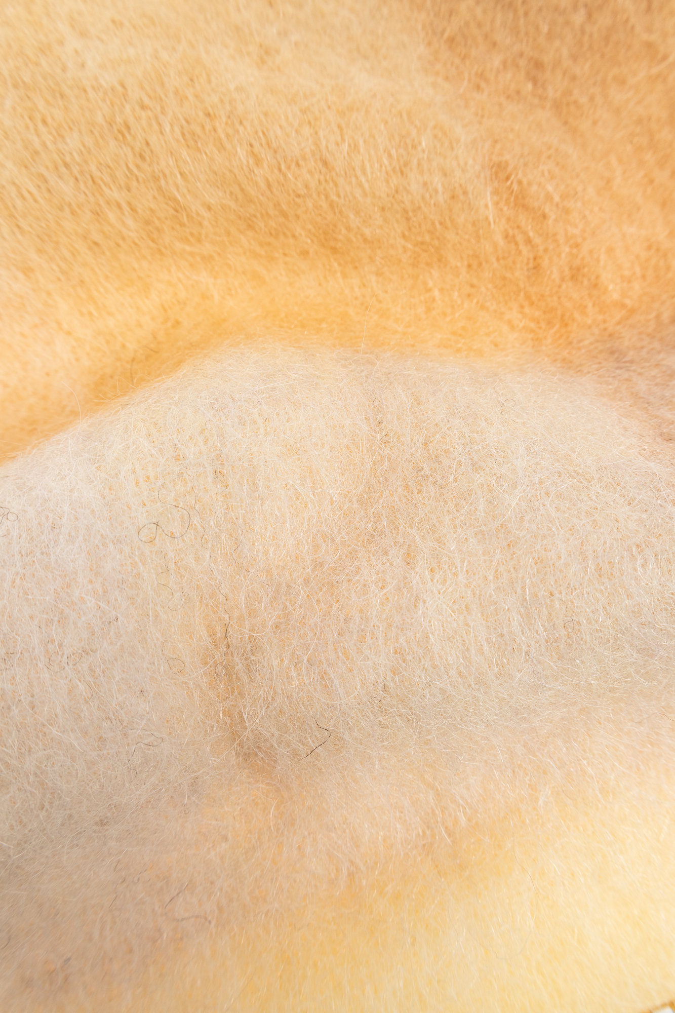 【Acne Studios】アシンメトリーサテンガウン Easter Melton Coat – La Garçonne